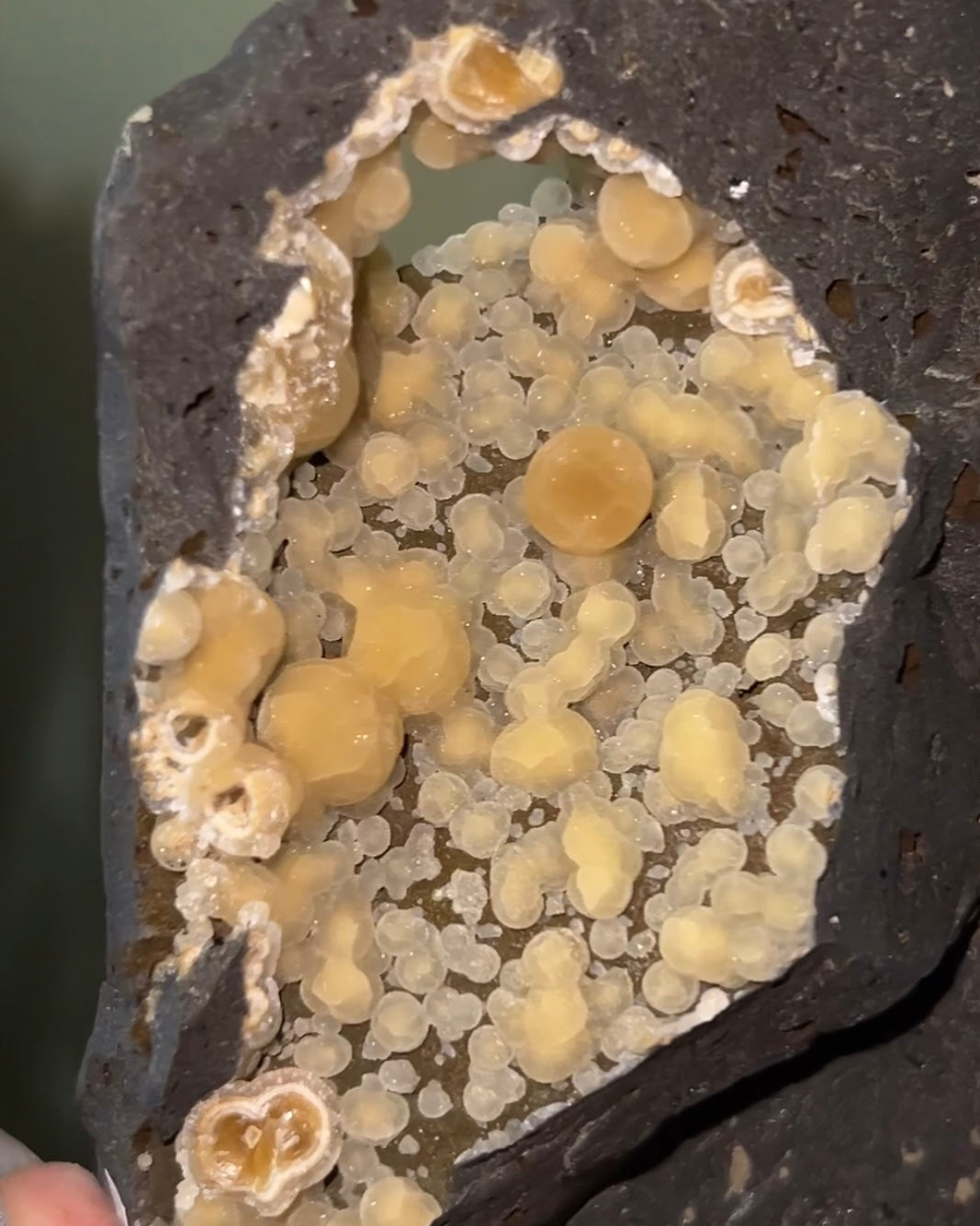 稀有的義大利球狀方解石，常長在玄武岩上 Rare Italian botryoidal calcite typically occurs on basalt.