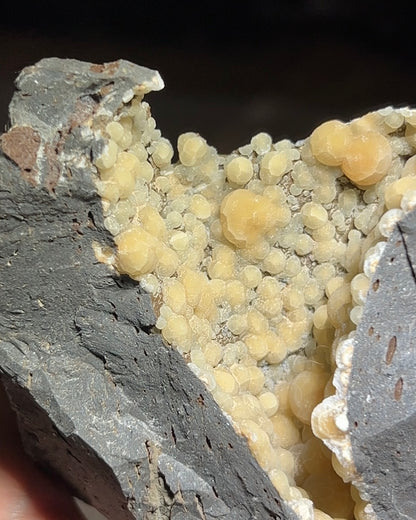 稀有的義大利球狀方解石，常長在玄武岩上 Rare Italian botryoidal calcite typically occurs on basalt.