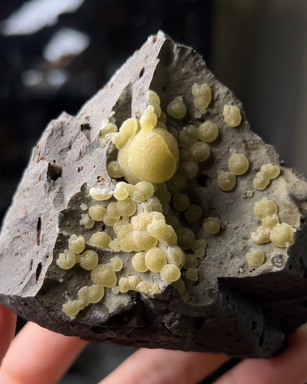 稀有的義大利球狀方解石，常長在玄武岩上 Rare Italian botryoidal calcite typically occurs on basalt.