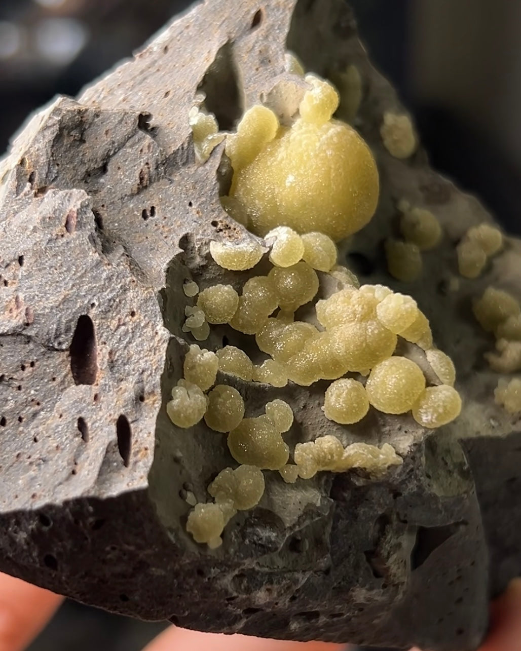 稀有的義大利球狀方解石，常長在玄武岩上 Rare Italian botryoidal calcite typically occurs on basalt.