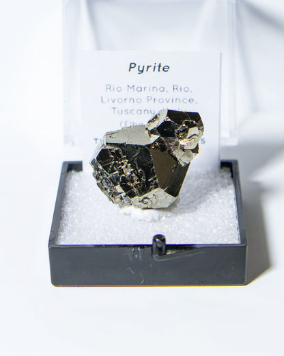 Pyrite - Elba Island, Italy
