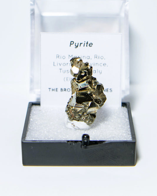 黃鐵礦 - 義大利厄爾巴島