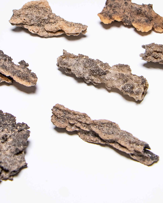 閃電化石 - 撒哈拉沙漠