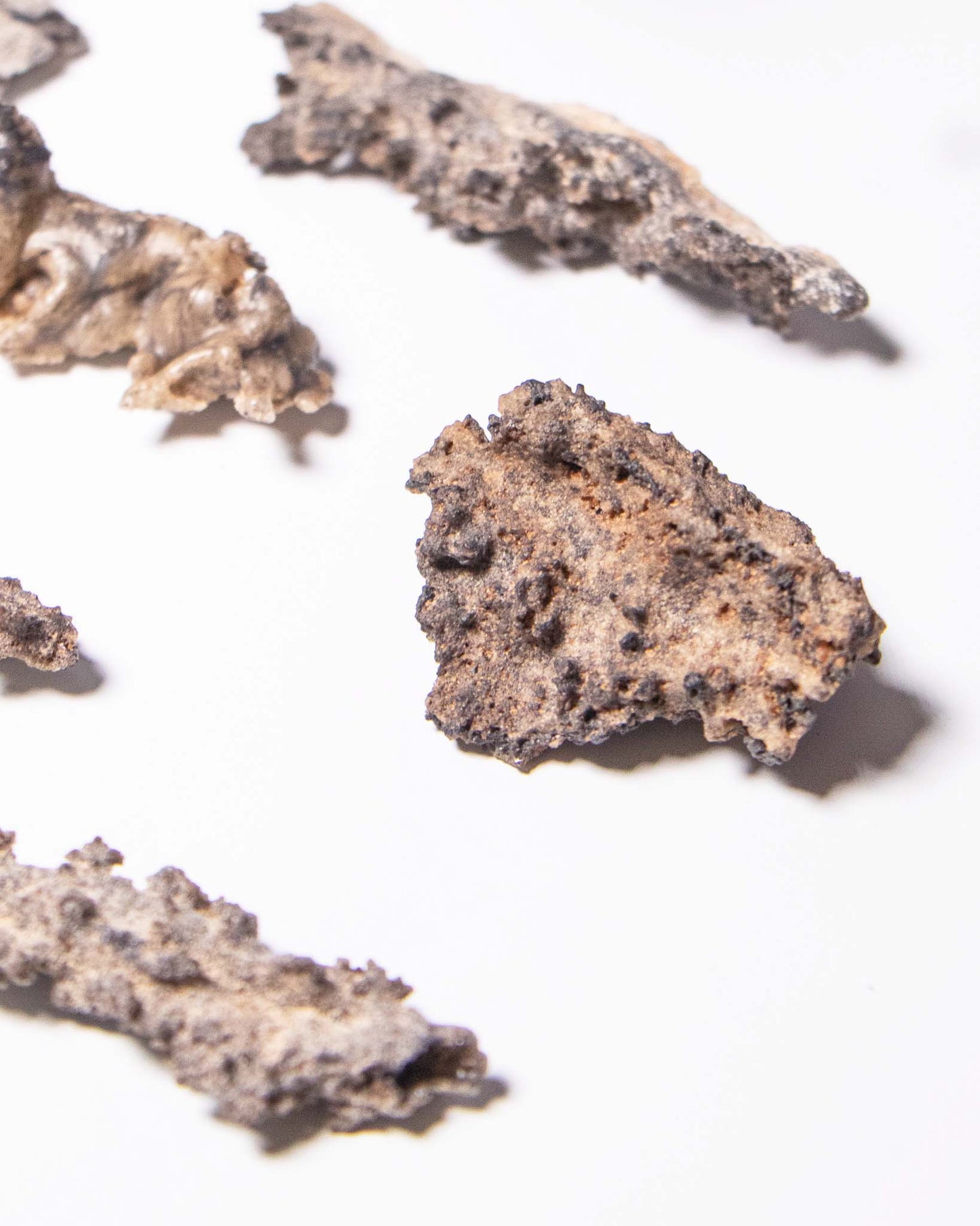 閃電化石 - 撒哈拉沙漠