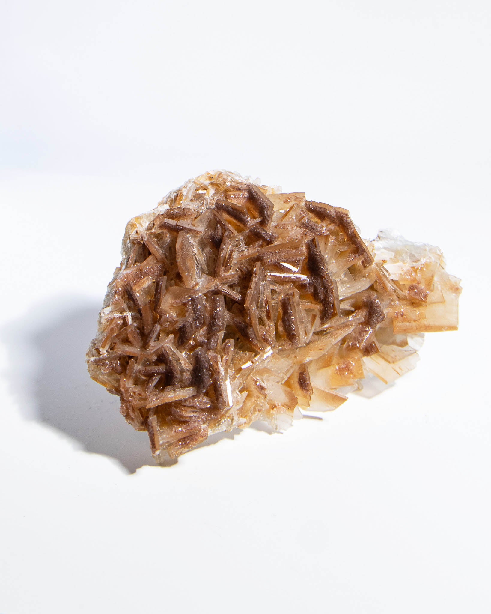 西班牙重晶石 Barite｜San Jorge 礦區鐵染棕紅板狀晶體標本 Spanish Barite iron-stained reddish-brown tabular crystals San Jorge Mines Spain