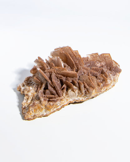 西班牙重晶石 Barite｜San Jorge 礦區鐵染棕紅板狀晶體標本 Spanish Barite iron-stained reddish-brown tabular crystals San Jorge Mines Spain