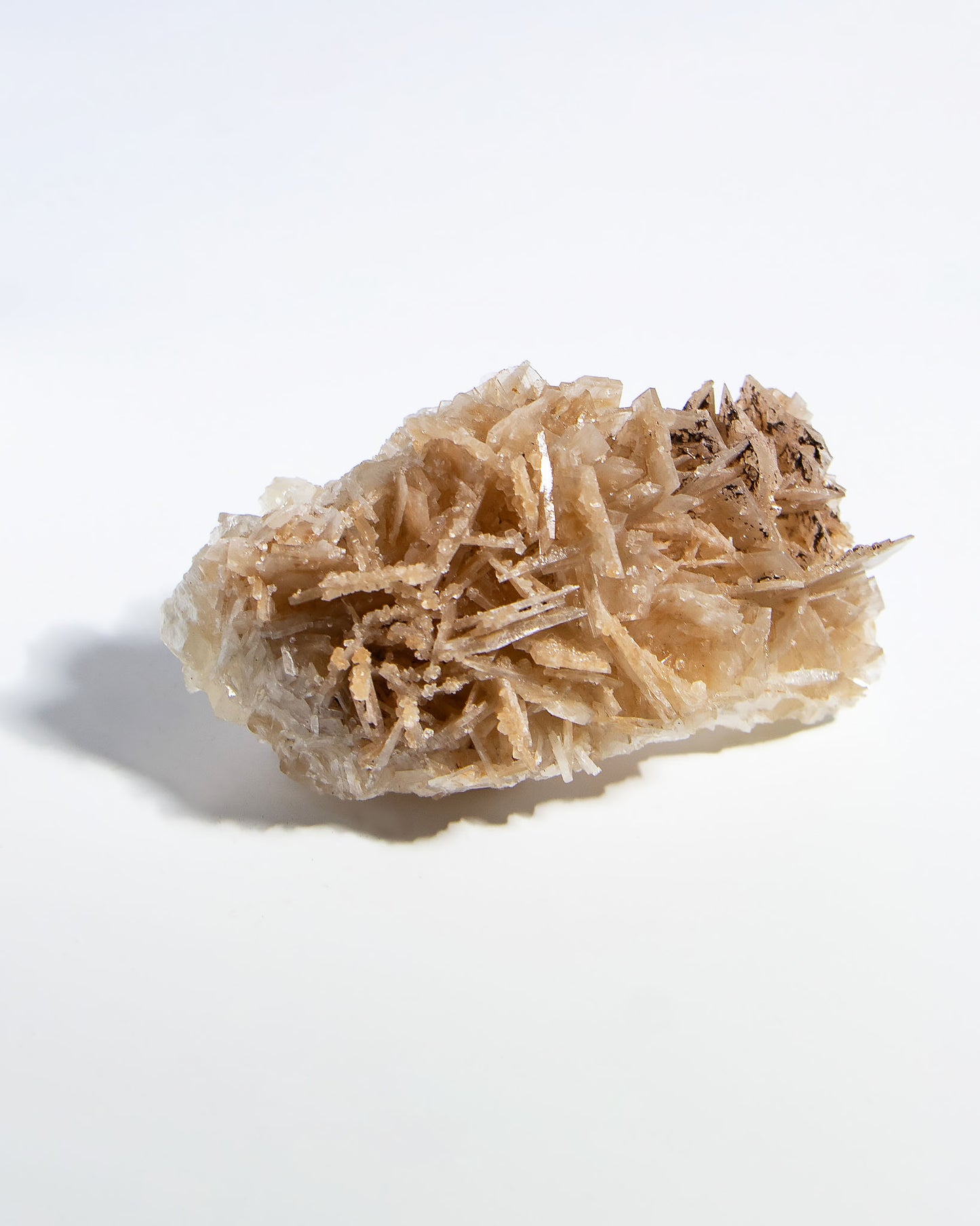 西班牙重晶石 Barite｜San Jorge 礦區鐵染棕紅板狀晶體標本 Spanish Barite iron-stained reddish-brown tabular crystals San Jorge Mines Spain
