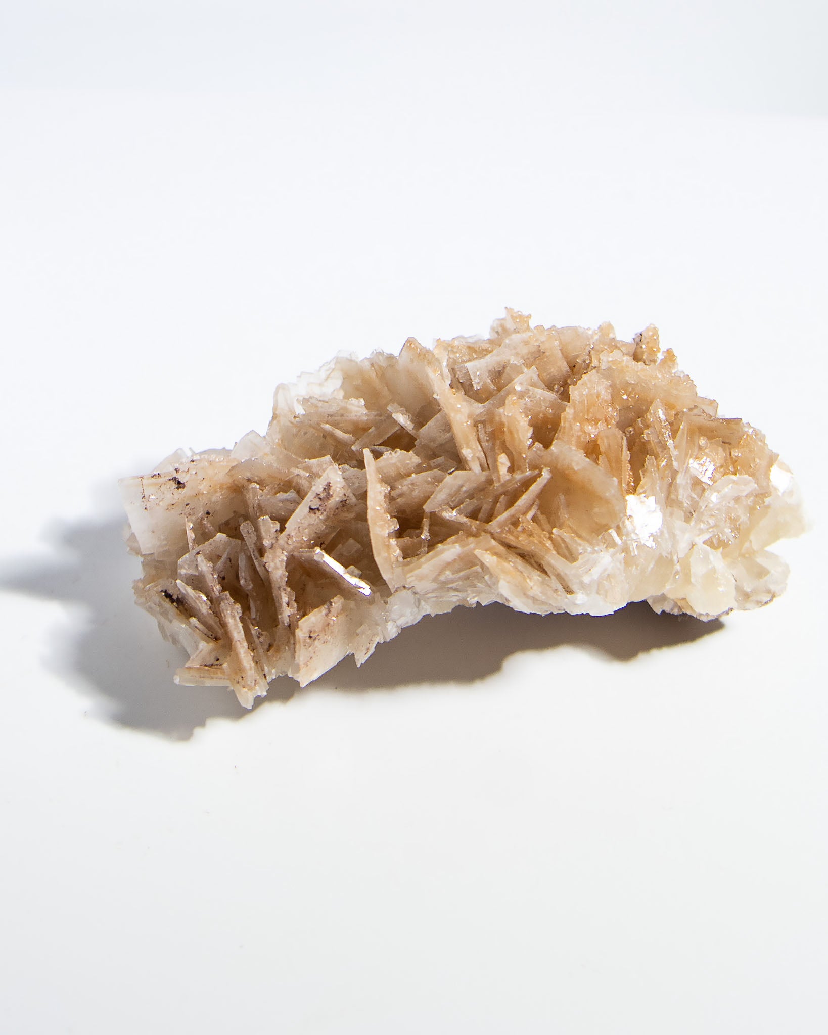 西班牙重晶石 Barite｜San Jorge 礦區鐵染棕紅板狀晶體標本 Spanish Barite iron-stained reddish-brown tabular crystals San Jorge Mines Spain