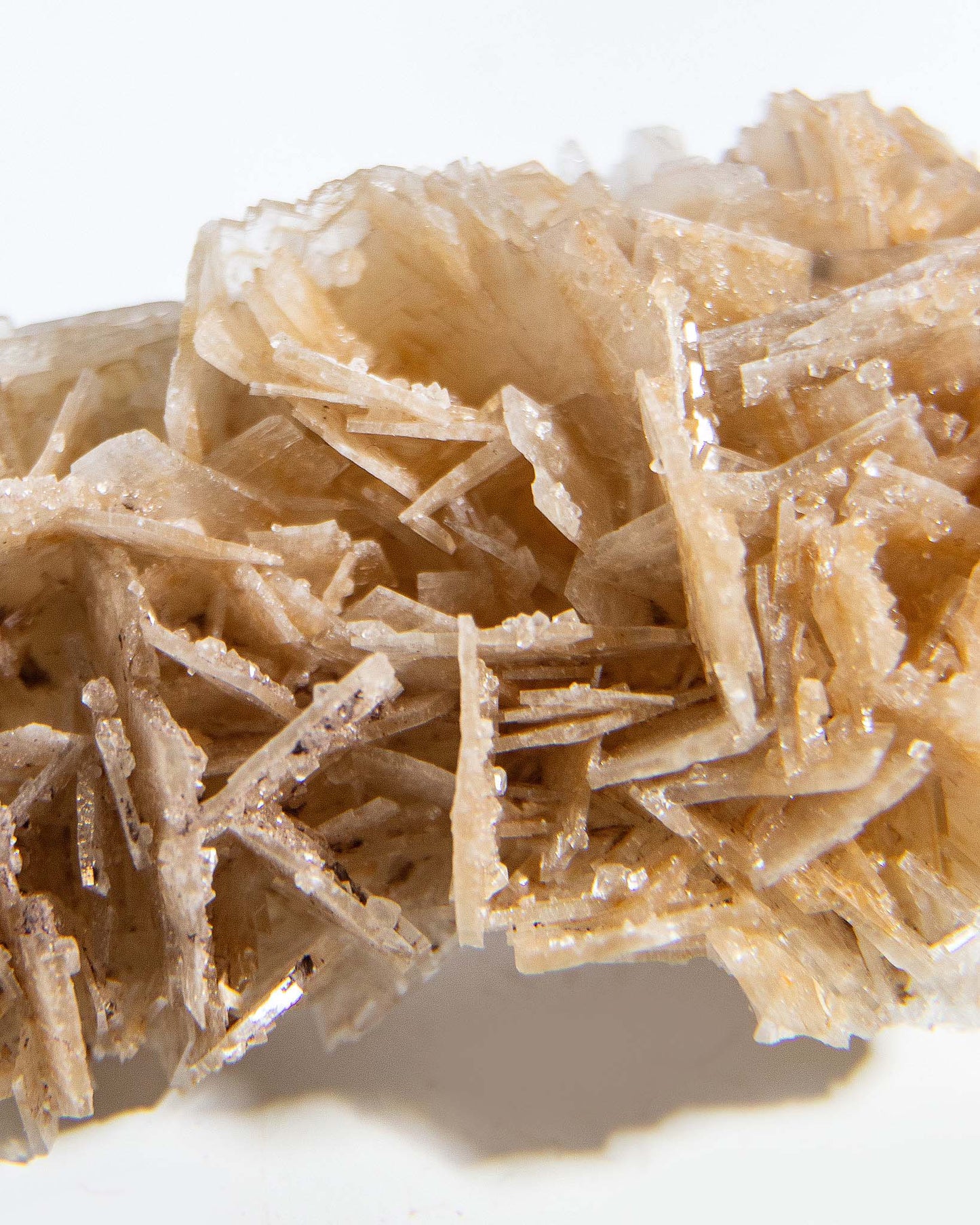 西班牙重晶石 Barite｜San Jorge 礦區鐵染棕紅板狀晶體標本 Spanish Barite iron-stained reddish-brown tabular crystals San Jorge Mines Spain