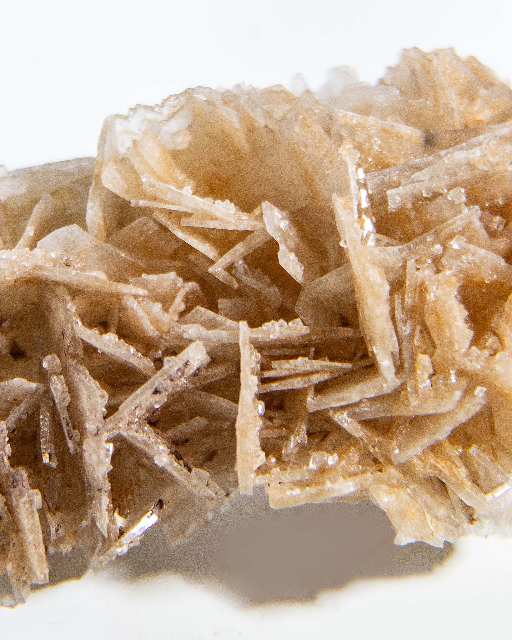 西班牙重晶石 Barite｜San Jorge 礦區鐵染棕紅板狀晶體標本 Spanish Barite iron-stained reddish-brown tabular crystals San Jorge Mines Spain