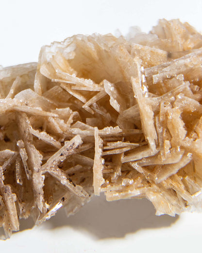 西班牙重晶石 Barite｜San Jorge 礦區鐵染棕紅板狀晶體標本 Spanish Barite iron-stained reddish-brown tabular crystals San Jorge Mines Spain