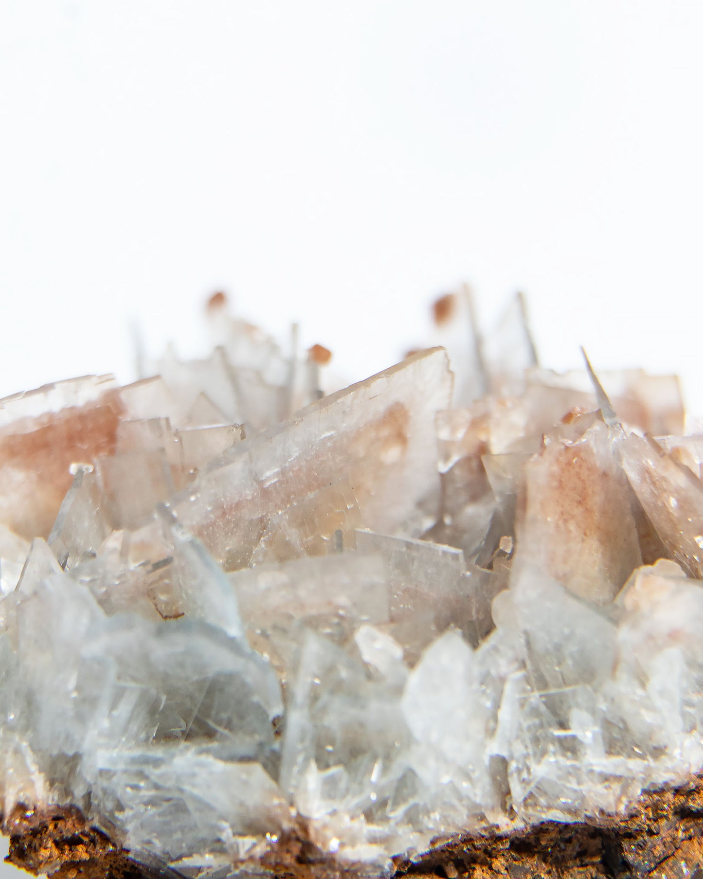 西班牙重晶石 Barite｜San Jorge 礦區灰藍板狀晶體標本 Spanish Barite grey-blue  tabular crystals San Jorge Mines Spain
