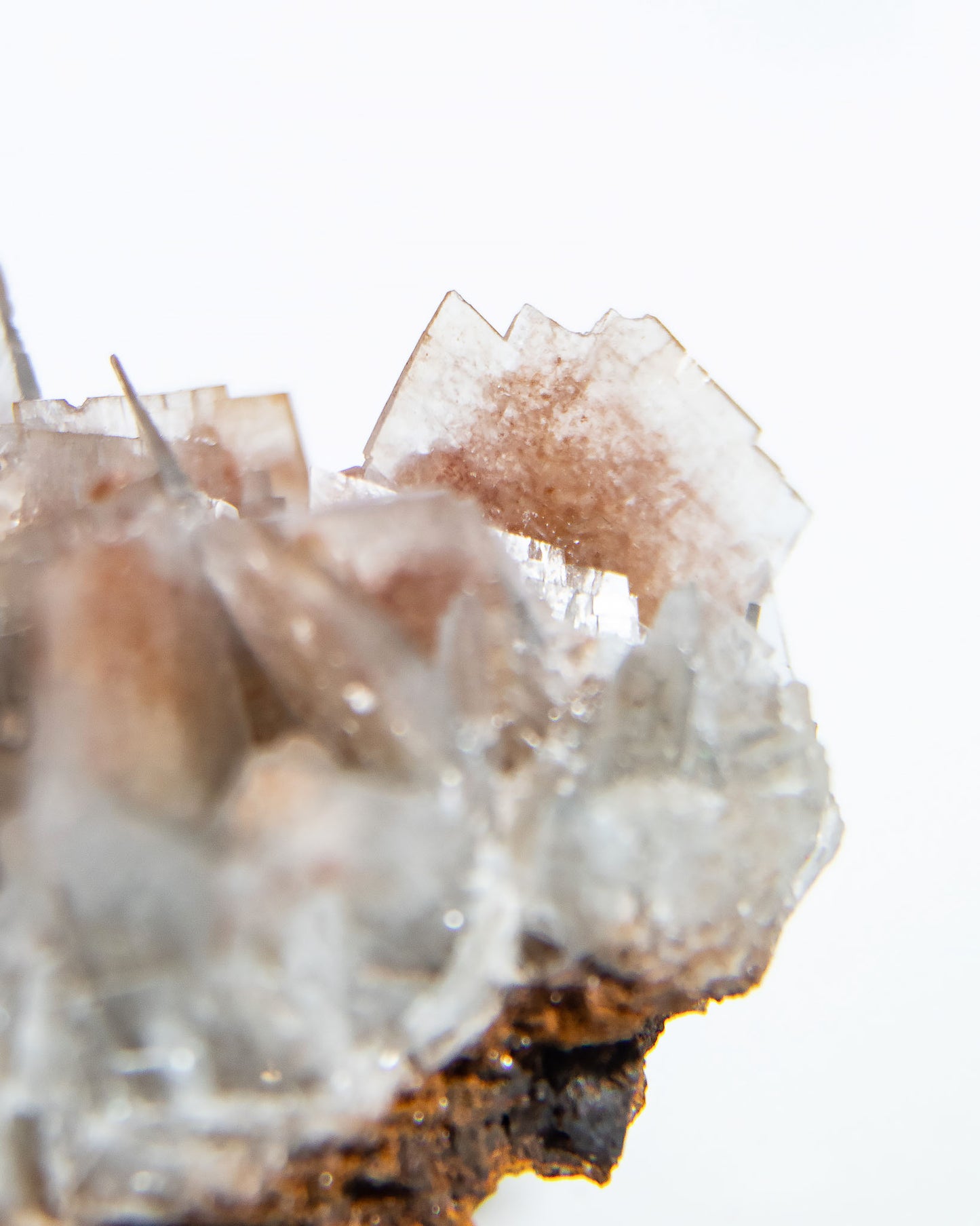 西班牙重晶石 Barite｜San Jorge 礦區灰藍棕粉共生板狀晶體標本 Spanish Barite grey-blue blush-pink tabular crystals San Jorge Mines Spain