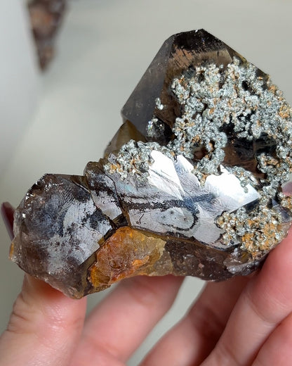 罕見的波士尼亞煙晶 smoky quartz from rare locality Bosnia Herzegovina shows elegant gradient of color and wild structure
