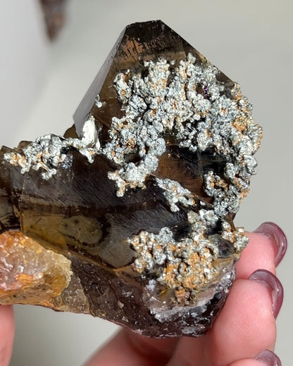 罕見的波士尼亞煙晶 smoky quartz from rare locality Bosnia Herzegovina shows elegant gradient of color and wild structure