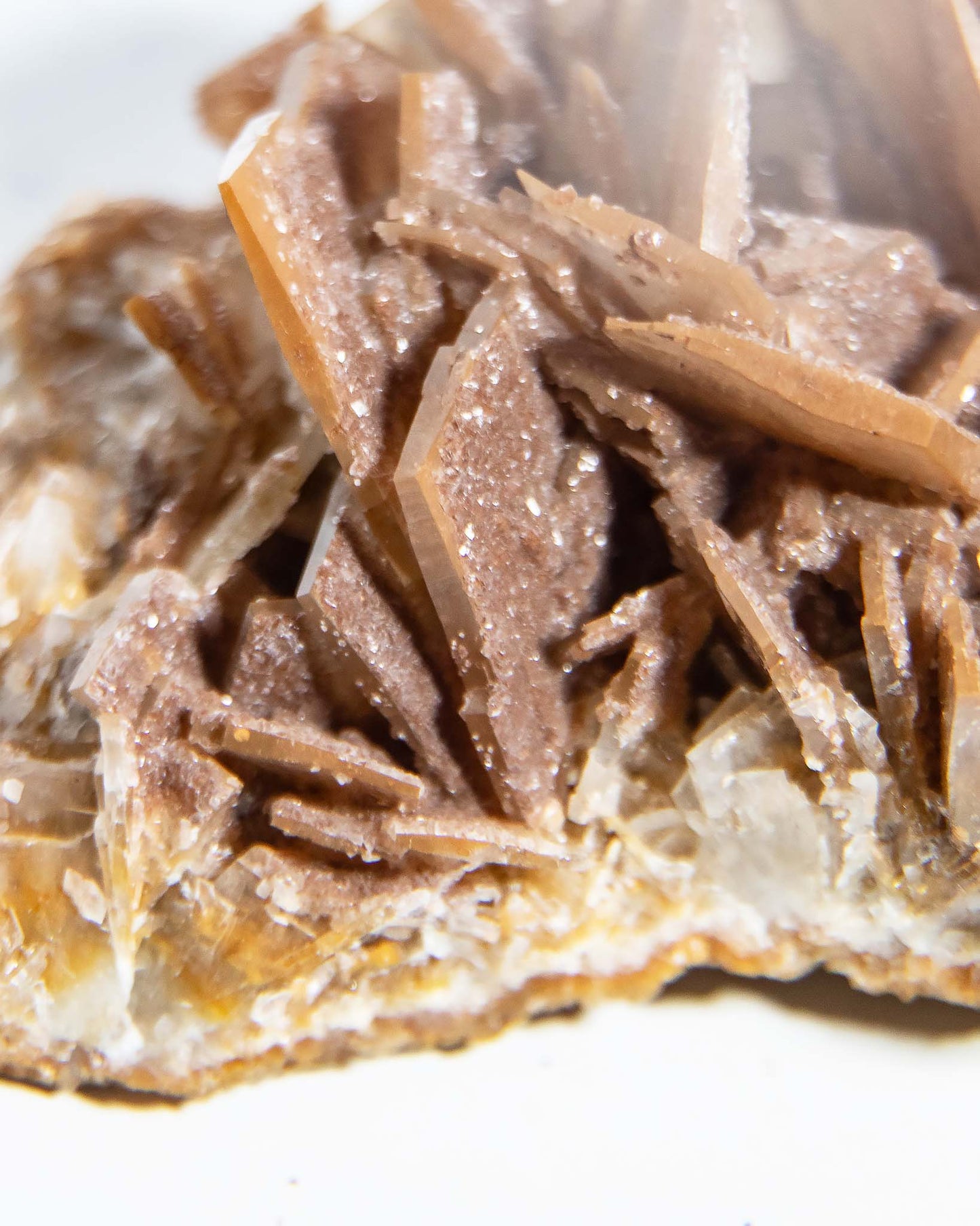 西班牙重晶石 Barite｜San Jorge 礦區鐵染棕紅板狀晶體標本 Spanish Barite iron-stained reddish-brown tabular crystals San Jorge Mines Spain