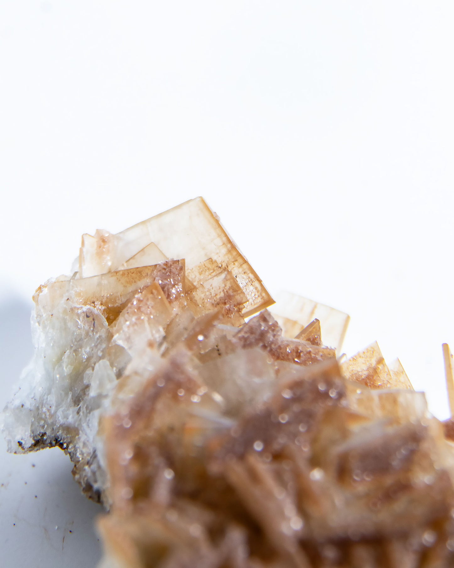 西班牙重晶石 Barite｜San Jorge 礦區鐵染棕紅板狀晶體標本 Spanish Barite iron-stained reddish-brown tabular crystals San Jorge Mines Spain