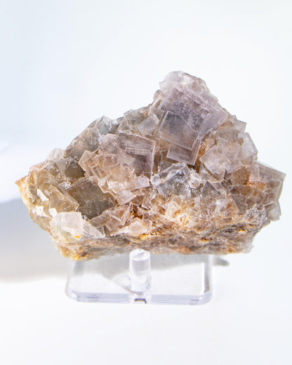 Fluorite - Poggio Balate, Sicily, Italy