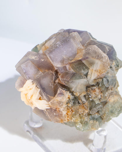 Fluorite - Poggio Balate, Sicily, Italy