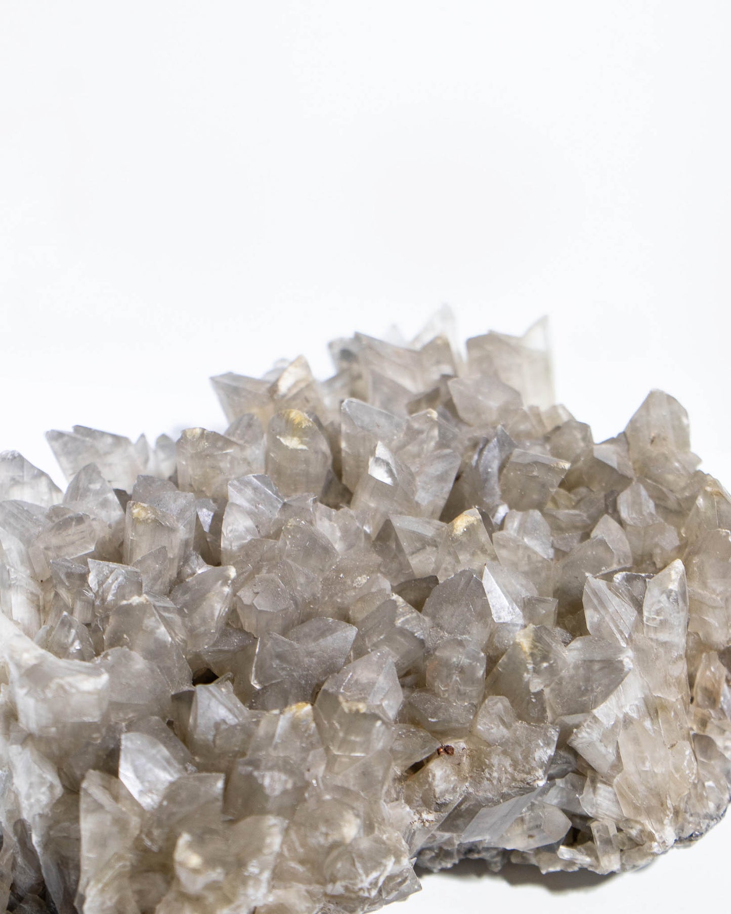 Gypsum var. Selenite - Tuscany, Italy