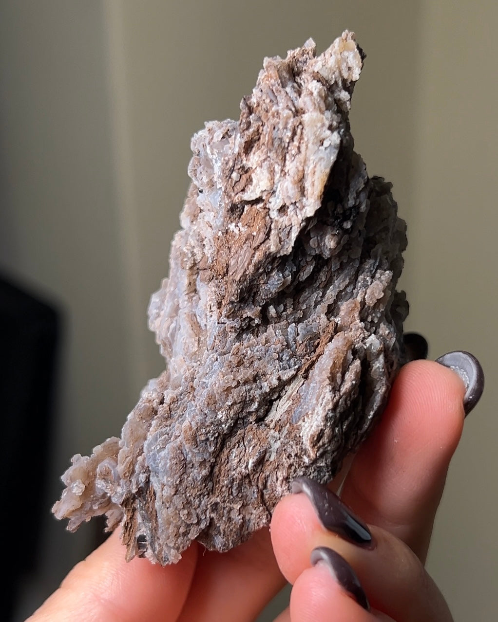 義大利阿爾卑斯木化石共生玉髓rare petrified wood covered with chalcedony features beautiful pale blue hue