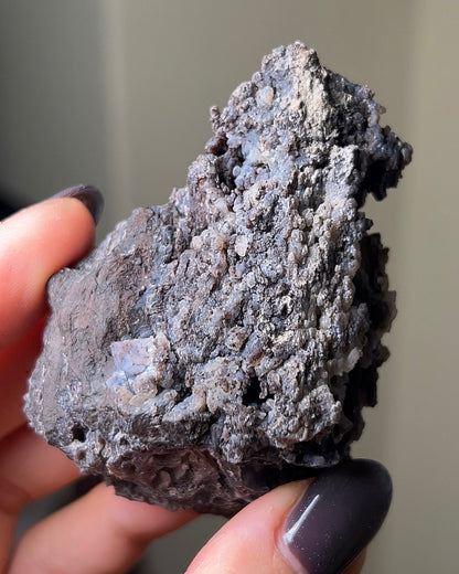 義大利阿爾卑斯木化石共生玉髓rare petrified wood covered with chalcedony features beautiful pale blue hue