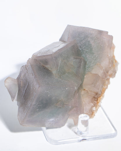 Fluorite - Poggio Balate, Sicily, Italy