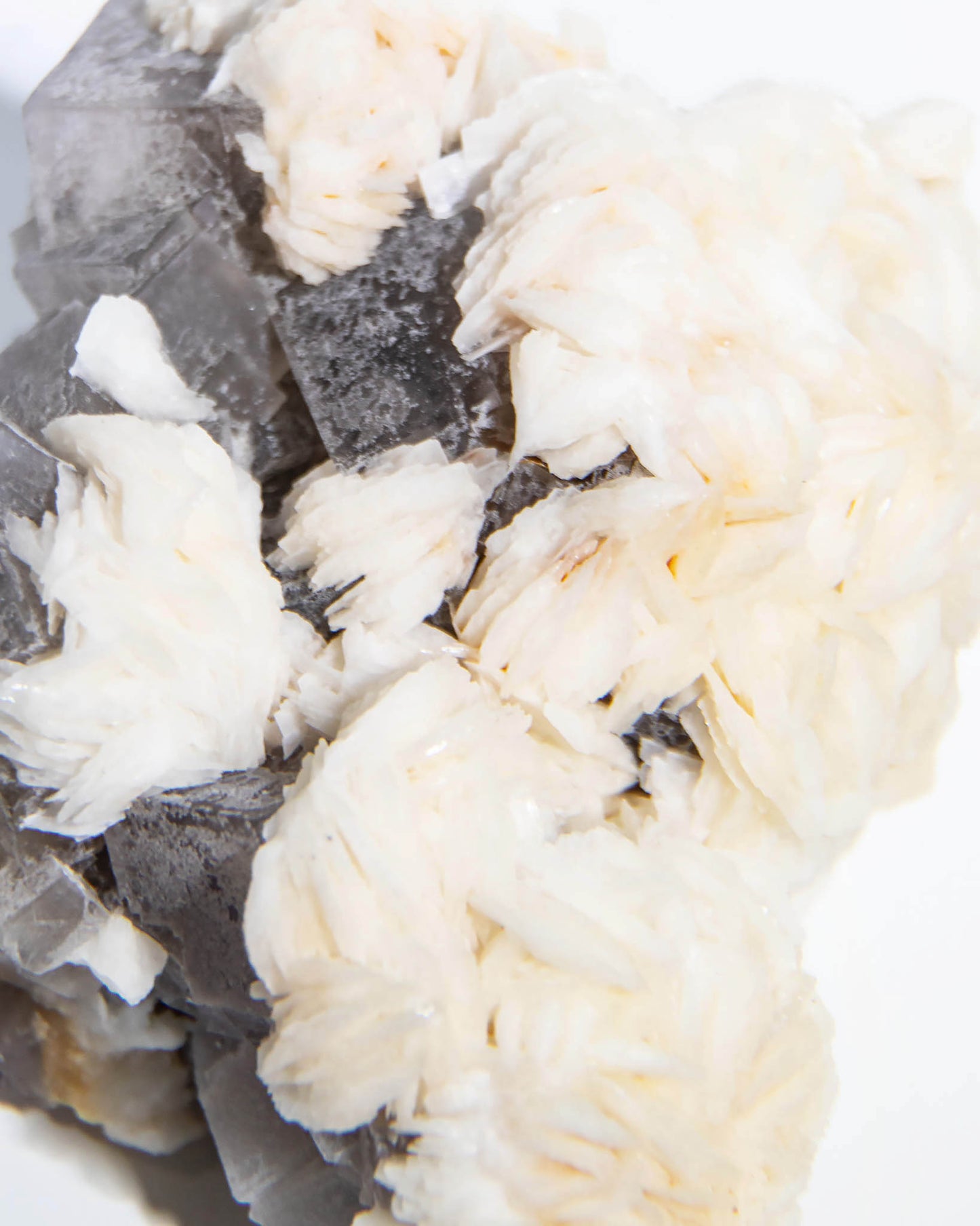 Fluorite - Poggio Balate, Sicily, Italy