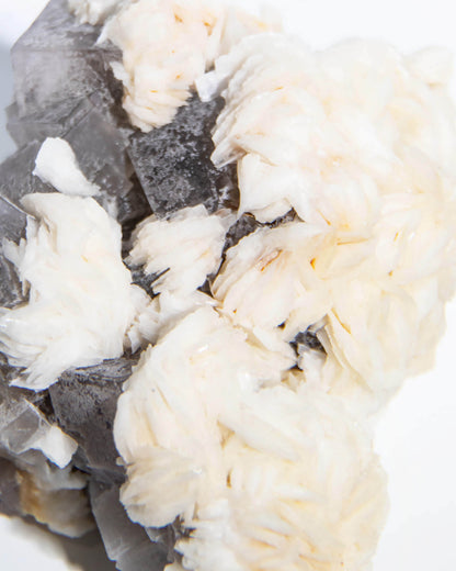 Fluorite - Poggio Balate, Sicily, Italy