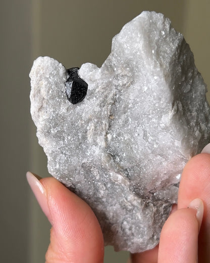 稀有罕見的義大利雙尖黑水晶 Rare black quartz specimen on anhydrite, featuring double-terminated quartz crystals with graphite inclusions from Italy.