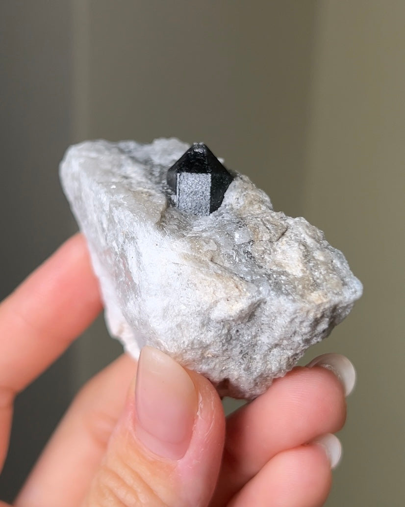 稀有罕見的義大利雙尖黑水晶 Rare black quartz specimen on anhydrite, featuring double-terminated quartz crystals with graphite inclusions from Italy.