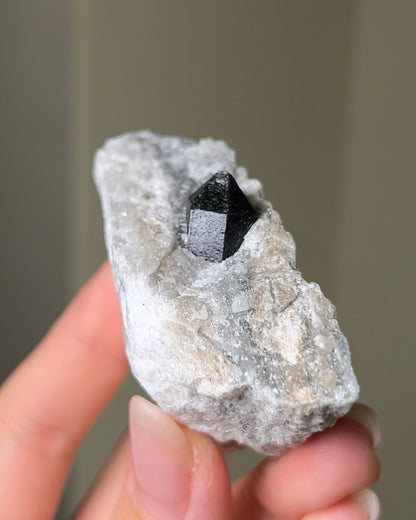 稀有罕見的義大利雙尖黑水晶 Rare black quartz specimen on anhydrite, featuring double-terminated quartz crystals with graphite inclusions from Italy.
