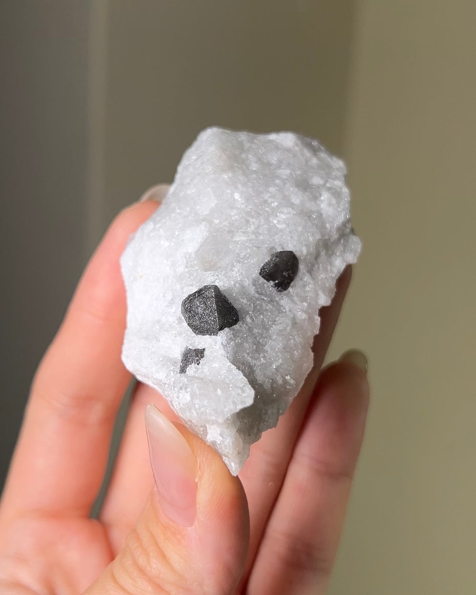 稀有罕見的義大利雙尖黑水晶 Rare black quartz specimen on anhydrite, featuring double-terminated quartz crystals with graphite inclusions from Italy.