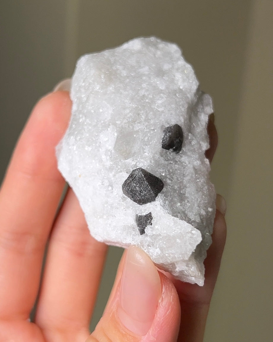 稀有罕見的義大利雙尖黑水晶 Rare black quartz specimen on anhydrite, featuring double-terminated quartz crystals with graphite inclusions from Italy.