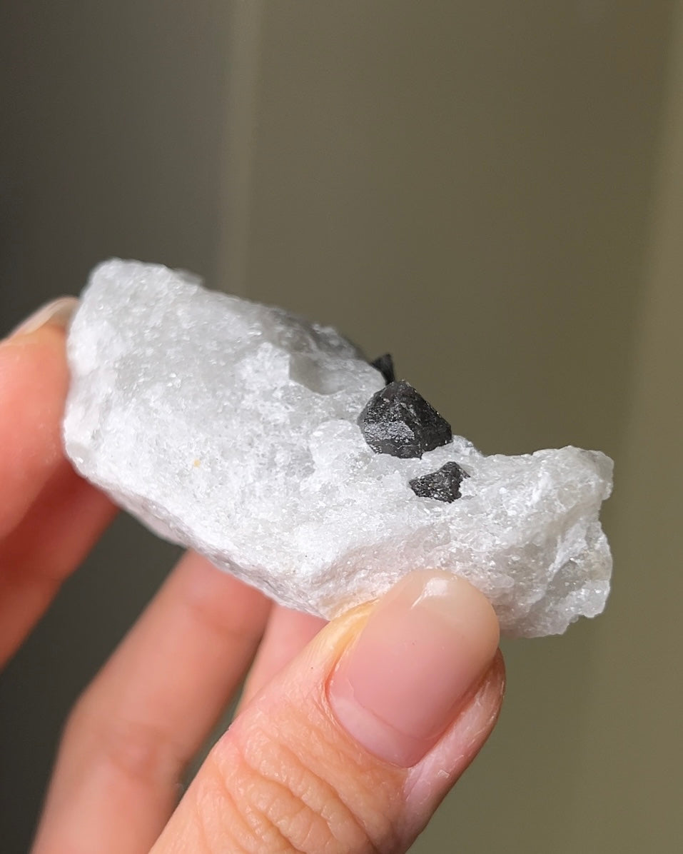 稀有罕見的義大利雙尖黑水晶 Rare black quartz specimen on anhydrite, featuring double-terminated quartz crystals with graphite inclusions from Italy.