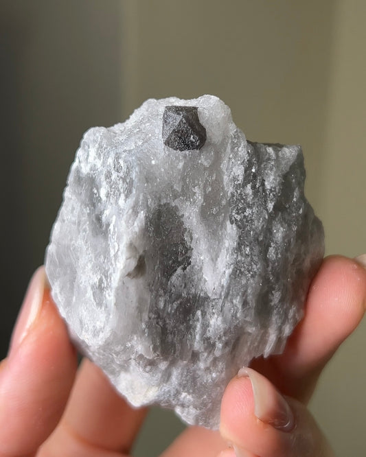 稀有罕見的義大利雙尖黑水晶 Rare black quartz specimen on anhydrite, featuring double-terminated quartz crystals with graphite inclusions from Italy.