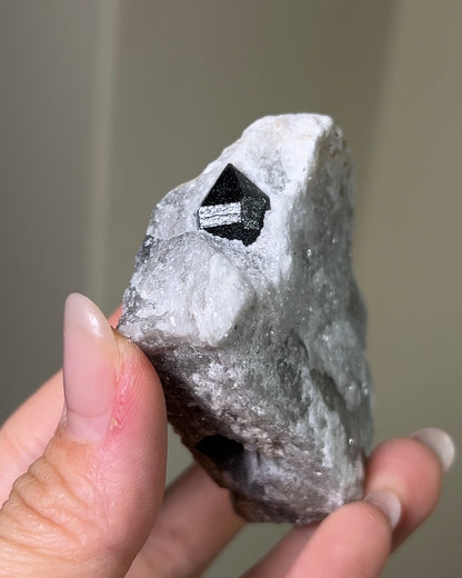 稀有罕見的義大利雙尖黑水晶 Rare black quartz specimen on anhydrite, featuring double-terminated quartz crystals with graphite inclusions from Italy.