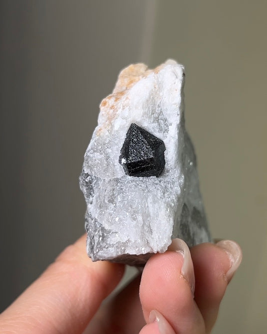 稀有罕見的義大利雙尖黑水晶 Rare black quartz specimen on anhydrite, featuring double-terminated quartz crystals with graphite inclusions from Italy.