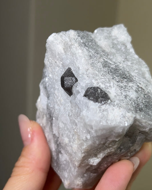 稀有罕見的義大利雙尖黑水晶 Rare black quartz specimen on anhydrite, featuring double-terminated quartz crystals with graphite inclusions from Italy.