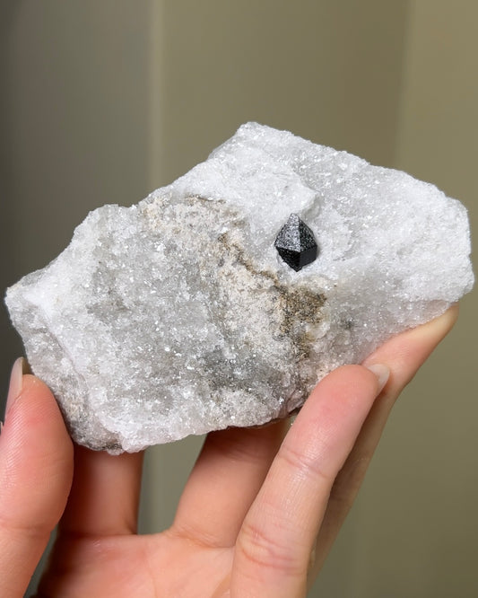 稀有罕見的義大利雙尖黑水晶 Rare black quartz specimen on anhydrite, featuring double-terminated quartz crystals with graphite inclusions from Italy.