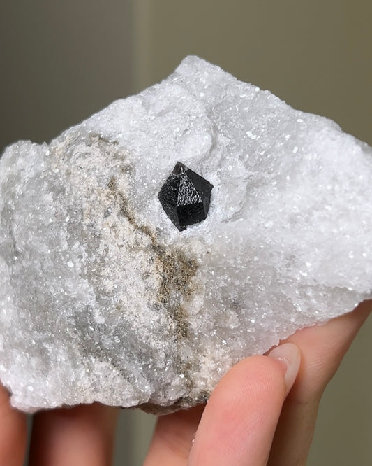 稀有罕見的義大利雙尖黑水晶 Rare black quartz specimen on anhydrite, featuring double-terminated quartz crystals with graphite inclusions from Italy.