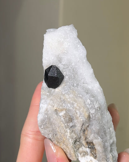 稀有罕見的義大利雙尖黑水晶 Rare black quartz specimen on anhydrite, featuring double-terminated quartz crystals with graphite inclusions from Italy.