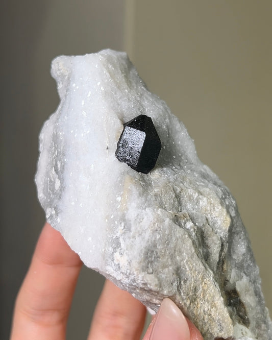 稀有罕見的義大利雙尖黑水晶 Rare black quartz specimen on anhydrite, featuring double-terminated quartz crystals with graphite inclusions from Italy.