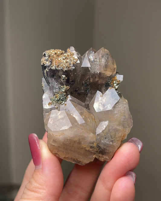 罕見的波士尼亞煙晶 smoky quartz from rare locality Bosnia Herzegovina shows elegant gradient of color and wild structure