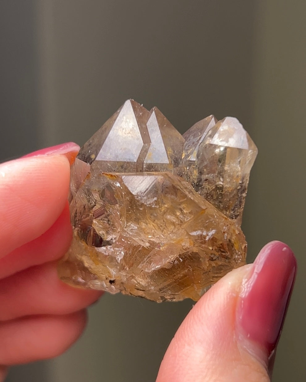 罕見的波士尼亞煙晶 smoky quartz from rare locality Bosnia Herzegovina shows elegant gradient of color and wild structure