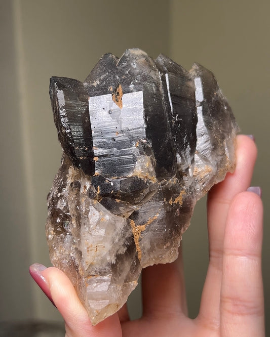罕見的波士尼亞煙晶 smoky quartz from rare locality Bosnia Herzegovina shows elegant gradient of color and wild structure