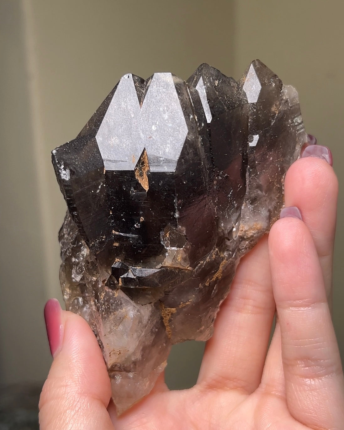 罕見的波士尼亞煙晶 smoky quartz from rare locality Bosnia Herzegovina shows elegant gradient of color and wild structure