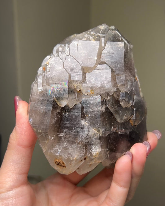 罕見的波士尼亞煙晶 smoky quartz from rare locality Bosnia Herzegovina shows elegant gradient of color and wild structure