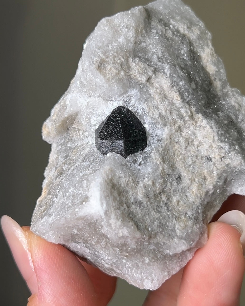 稀有罕見的義大利雙尖黑水晶 Rare black quartz specimen on anhydrite, featuring double-terminated quartz crystals with graphite inclusions from Italy.