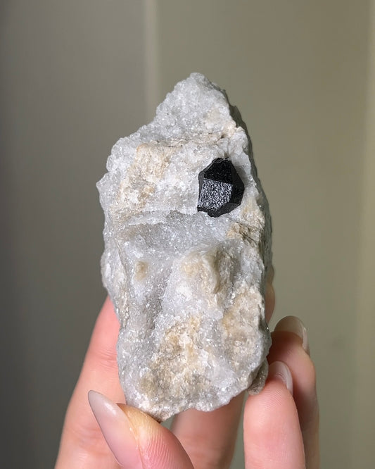 稀有罕見的義大利雙尖黑水晶 Rare black quartz specimen on anhydrite, featuring double-terminated quartz crystals with graphite inclusions from Italy.
